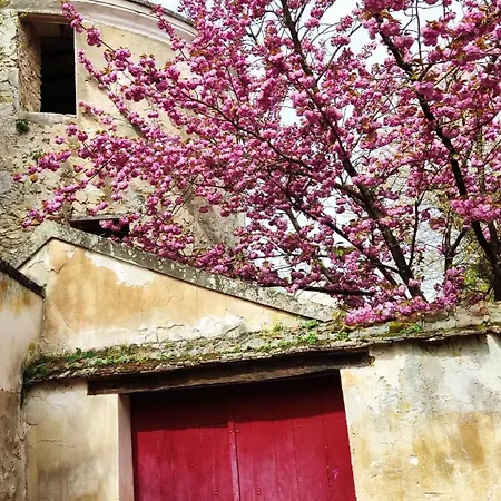 Romantic - Jardin - Proche Disneyland Paris 公寓