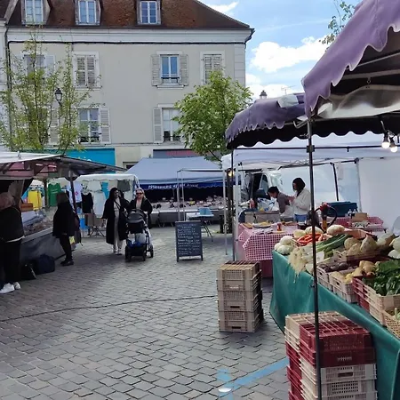 Romantic - Jardin - Proche Disneyland Paris * 克雷西拉沙佩勒